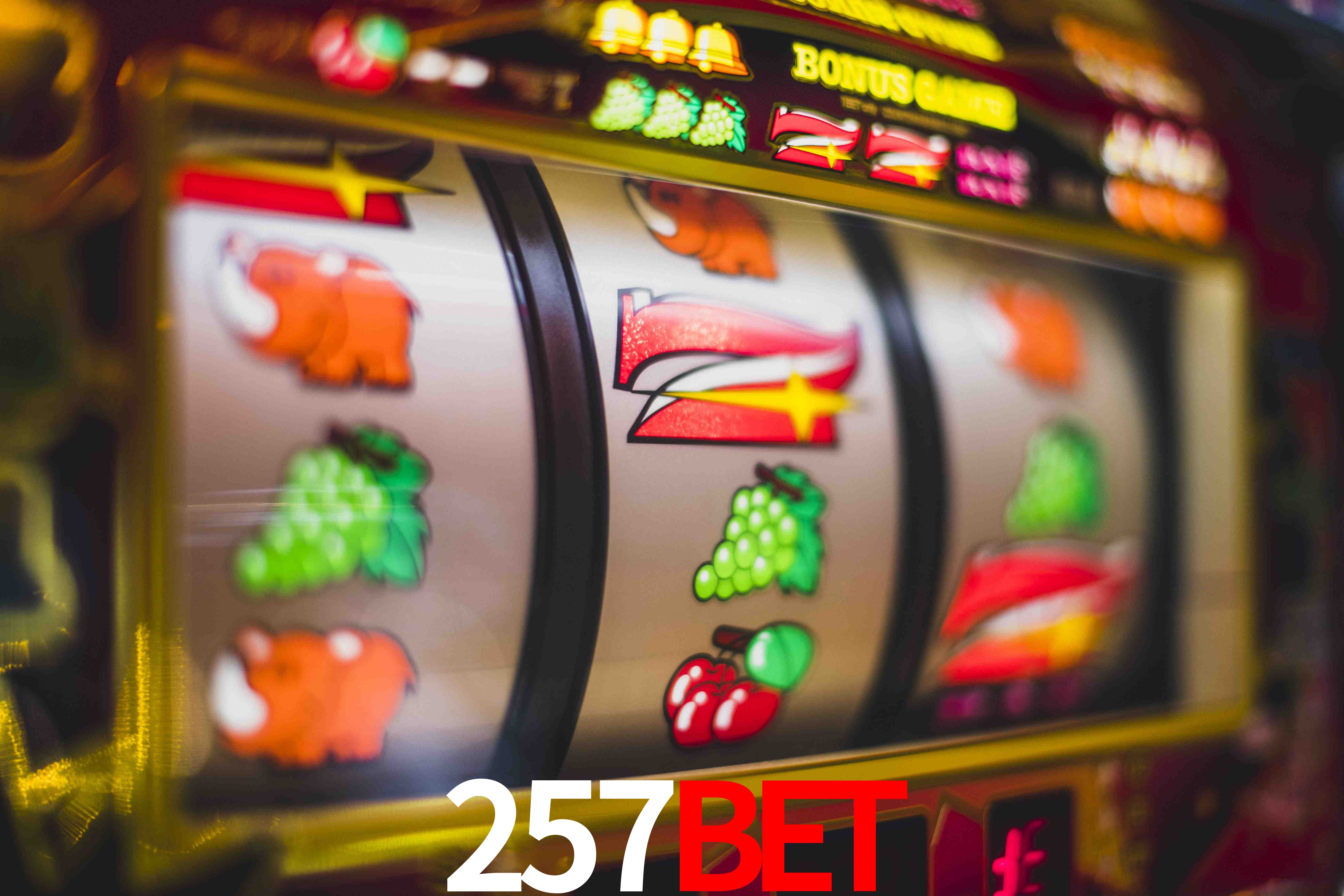 Sports Statistics 257bet